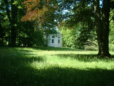 Altzella, Grabkapelle der Wettiner