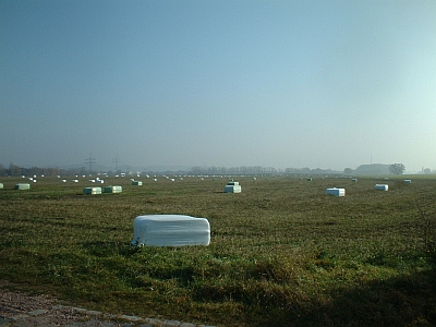 Plastikw&uuml;rfel auf den Elbwiesen