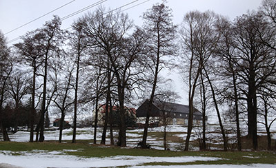B&auml;ume am Dorfbach in Rennersdorf