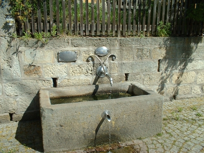 Viehborn in Hinterhermsdorf