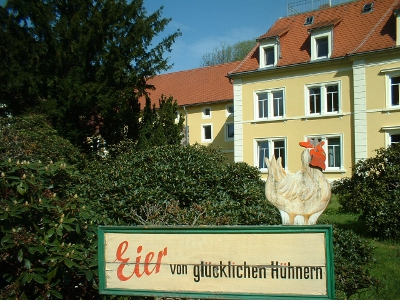 Eier von gl&uuml;cklichen H&uuml;hnern - Werbetafel in B&uuml;hlau an der Wesenitz